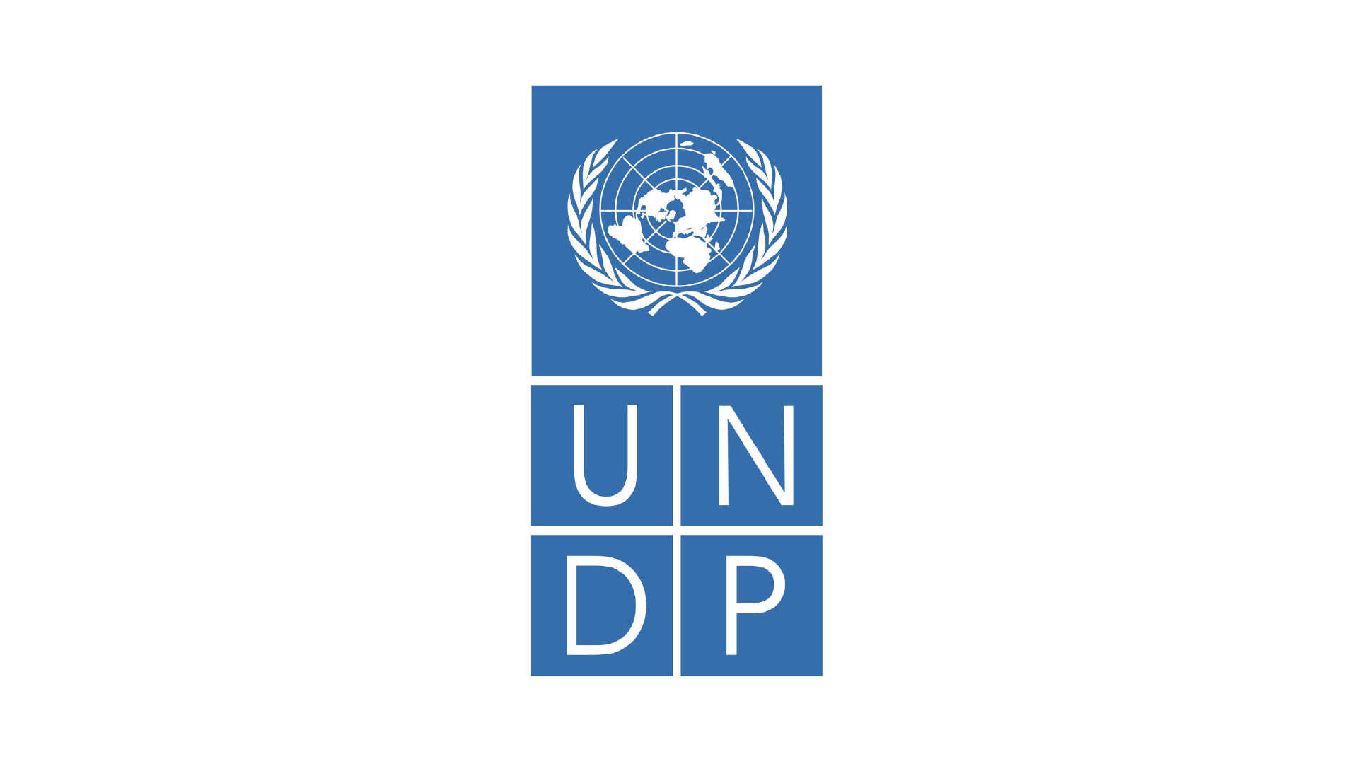 24 PNUD